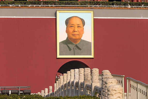 Col Mao homme sur mesure par signe jeff createur à grenoble
